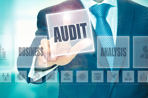 Auditing Experts